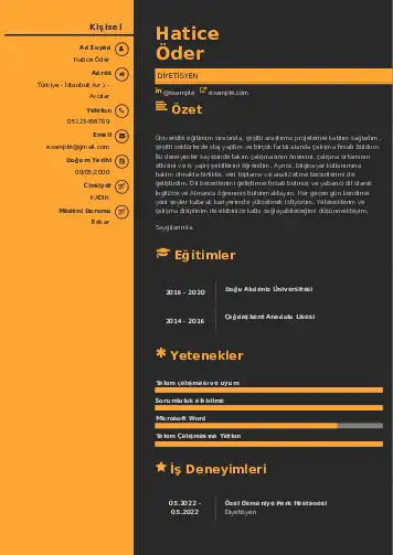 Beslenme Uzmanı Diyetisyen CV Örnekleri cv indir